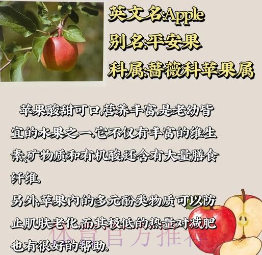 2026世界杯外围赛中的苹果作用与影响深度解析 2026世界杯外围赛中的苹果作用与影响深度解析